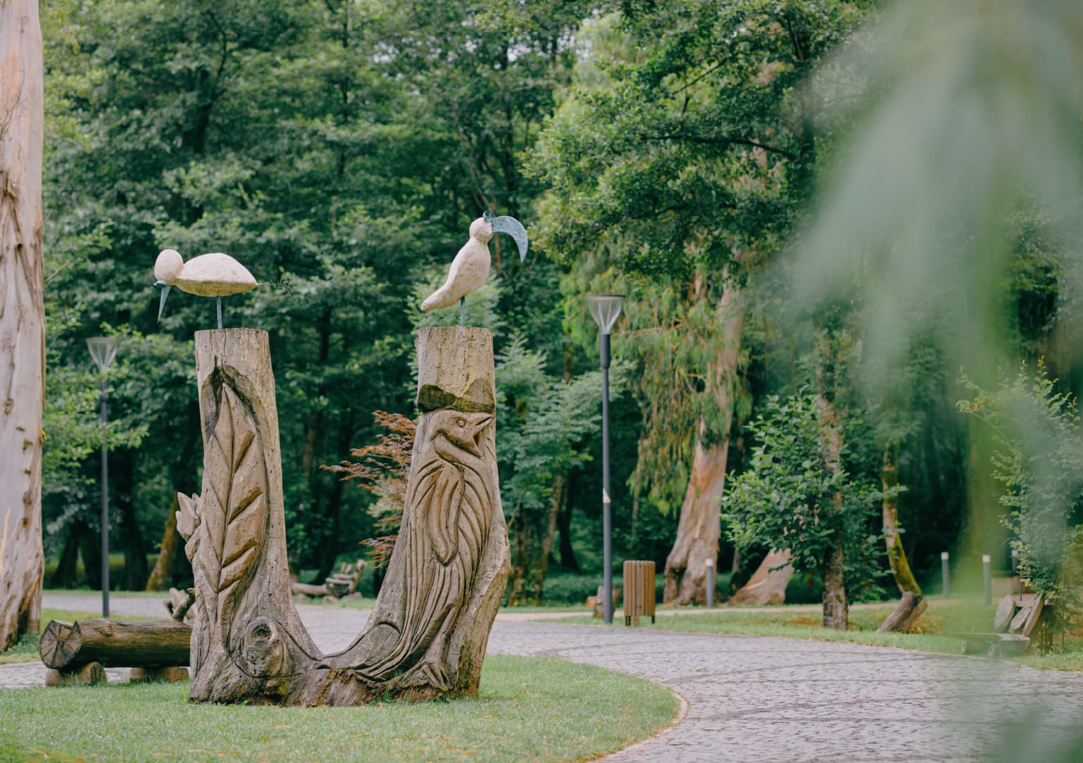 blog-info-horizontal-image