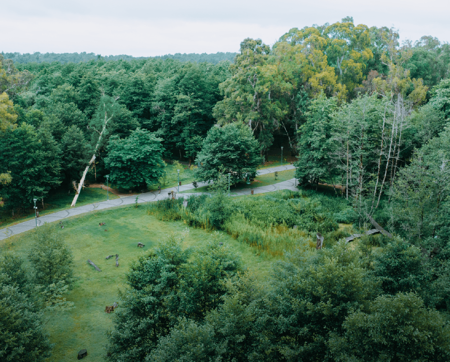 Musicians' Park: A Cultural Bridge Between Georgian and World Legends