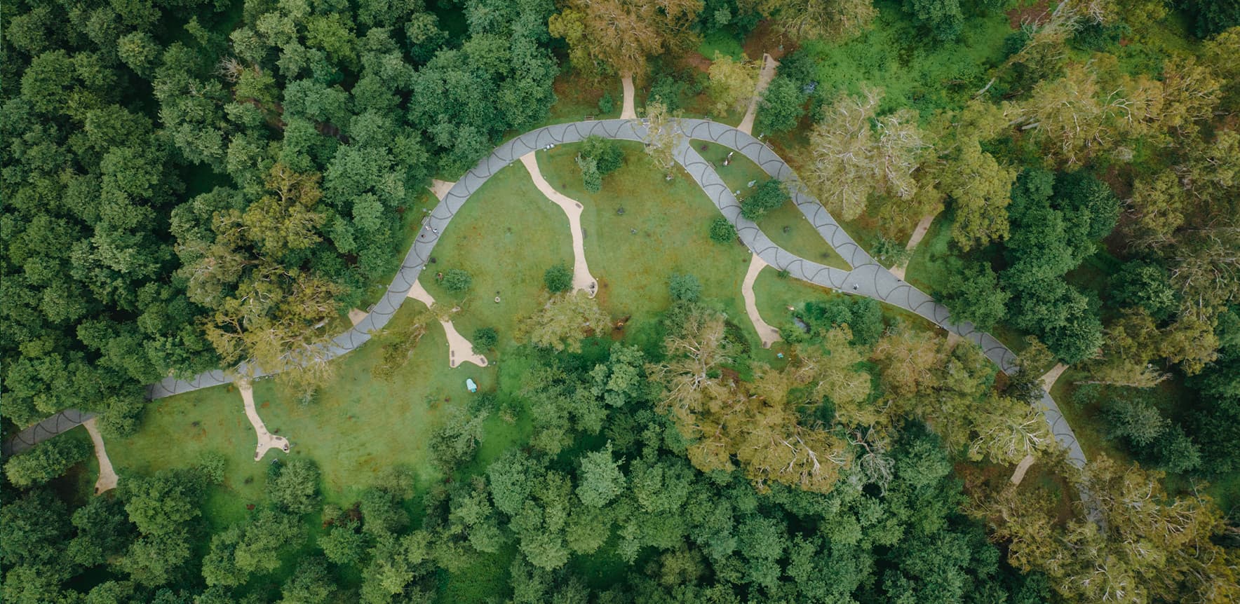 68bc7e38e99aad2dea5b7eca