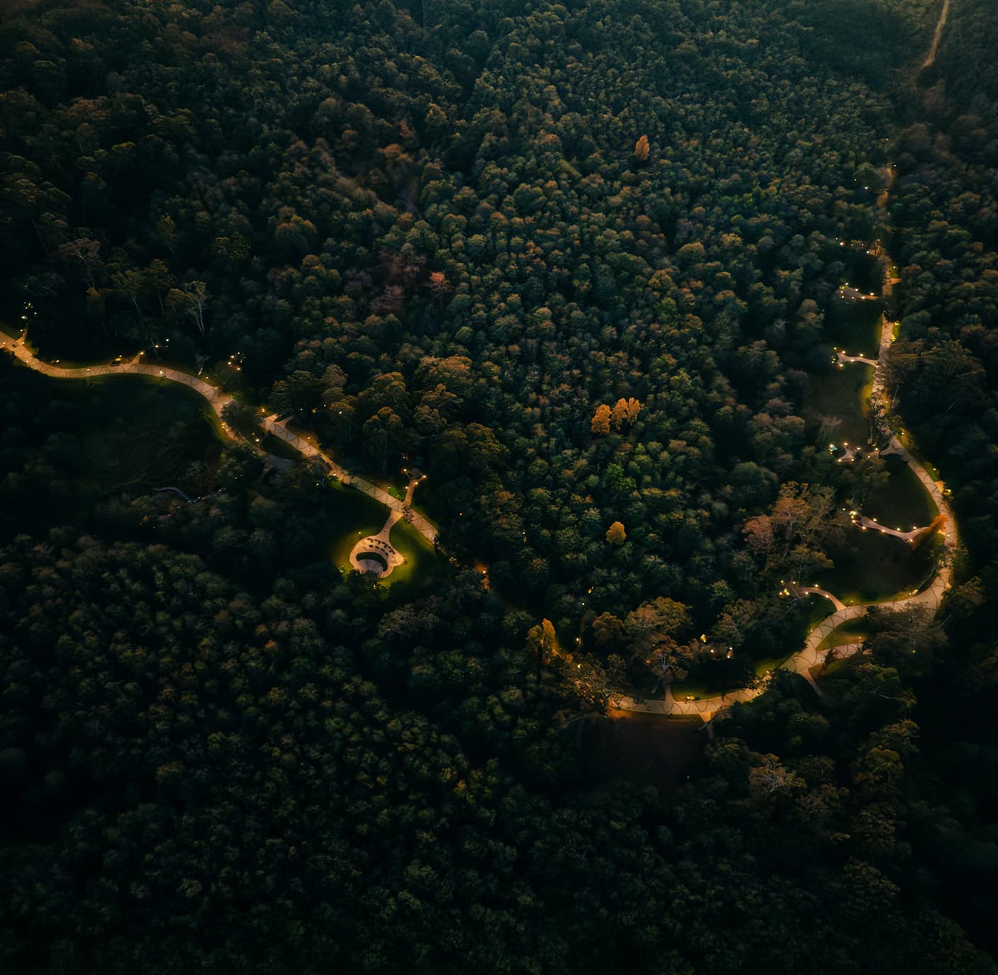 blog-sponsor-image-mobile